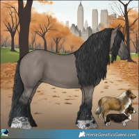 Horse Color:Grullo 
