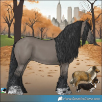 Horse Color:Grullo 