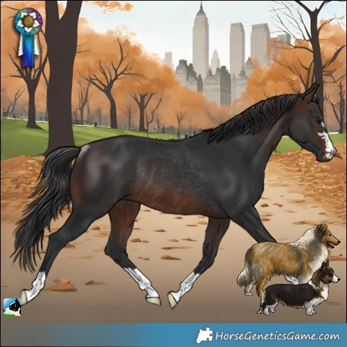 Horse Color:Brown Rabicano 