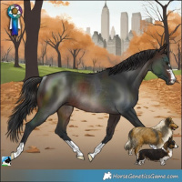 Horse Color:Brown Rabicano 