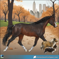 Horse Color:Brown Rabicano