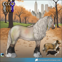 Horse Color:Liver Red Dun Mushroom Rabicano 