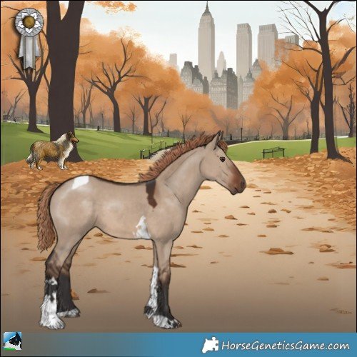 Horse Color:Liver Red Dun Tobiano 
