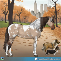 Horse Color:White Spotted Liver Red Dun Tobiano