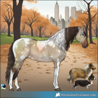Horse Color:White Spotted Liver Red Dun Tobiano 