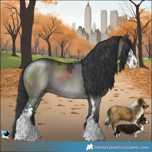 Horse Color:Grullo Mushroom Sabino