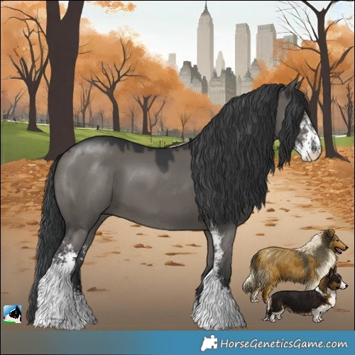 Horse Color:Grullo Mushroom Sabino