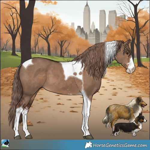 Horse Color:Liver Red Dun Sabino Tobiano