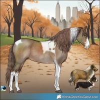 Horse Color:Liver Red Dun Sabino Tobiano 