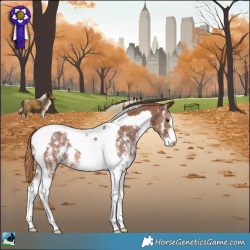 Horse Color:Chestnut Sabino Tobiano Rabicano 