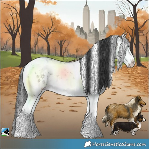 Horse Color:Grullo Mushroom Sabino Brindle
