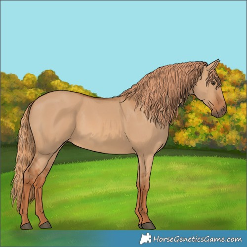 Horse Color:Red Dun 