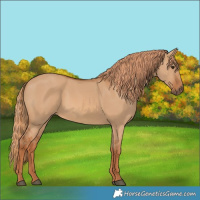 Horse Color:Red Dun 