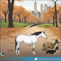 Horse Color:Blue Roan Near Fewspot