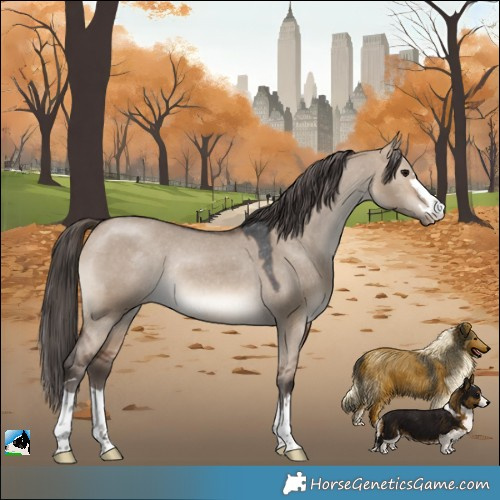 Horse Color:Brown Dun Varnish Rabicano 