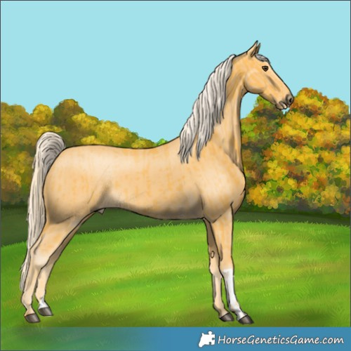 Horse Color:Palomino  and Palomino 