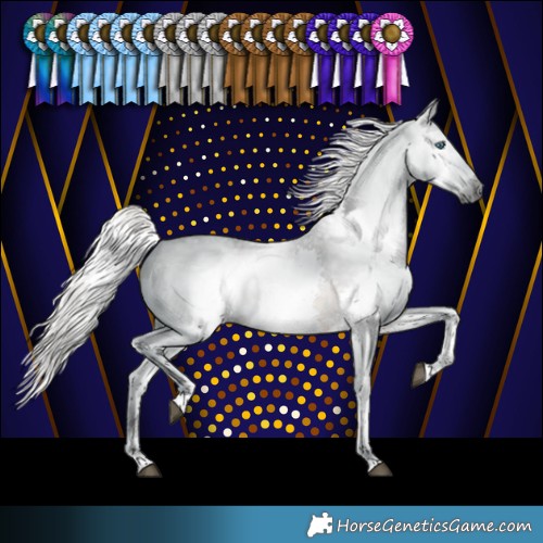 Horse Color:Gray Silver Smoky Black Splash Tobiano Varnish Rabicano 