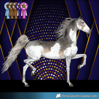 Horse Color:Gray Silver Smoky Black Splash Tobiano Appaloosa Rabicano