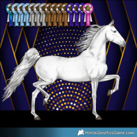 Horse Color:Gray Silver Smoky Black Splash Tobiano Varnish Rabicano 