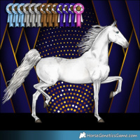 Horse Color:Gray Silver Smoky Black Splash Tobiano Appaloosa Rabicano 