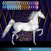 Horse Color:Gray Silver Smoky Black Splash Tobiano Varnish Rabicano 