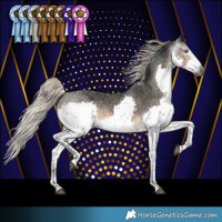 Horse Color:Gray Silver Smoky Black Splash Tobiano Appaloosa Rabicano 