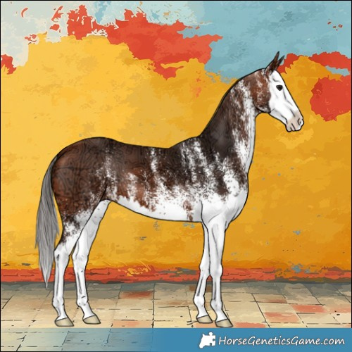 Horse Color:White Spotted Bay Ice Splash 
