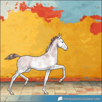 Horse Color:Watercolor Red Roan Sabino Splash Rabicano 