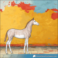 Horse Color:Red Roan Splash 