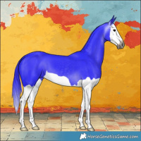 Horse Color:Gray Watercolor Black Splash 