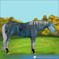Horse Color:ERROR: UNKNOWN ANOMALY