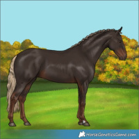 Horse Color:Liver Chestnut