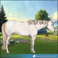 Horse Color:White Spotted Perlino Ice Dun 