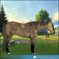 Horse Color:Void Buckskin Ice Dun 