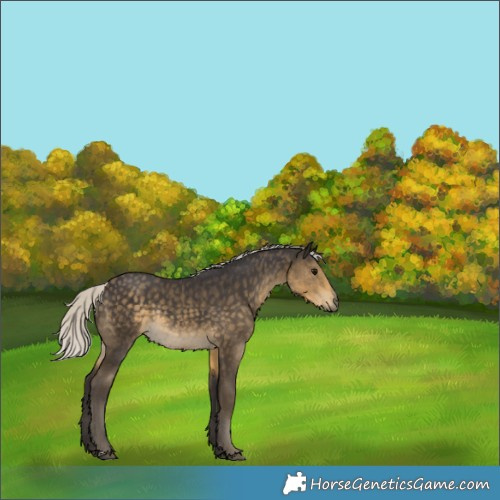 Horse Color:Silver Smoky Black Rabicano 