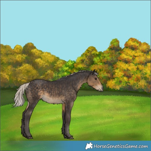Horse Color:Silver Smoky Black 