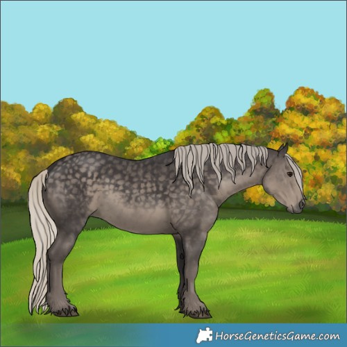 Horse Color:Silver Smoky Black 