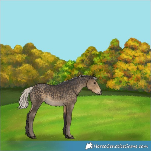 Horse Color:Silver Smoky Black 