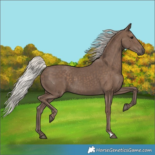 Horse Color:Silver Black 