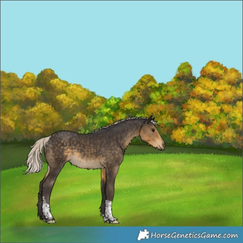 Horse Color:Silver Smoky Black Tobiano Rabicano 