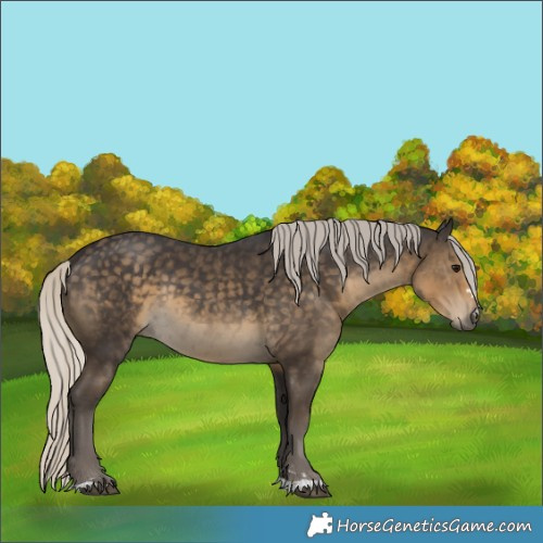 Horse Color:Silver Smoky Black Rabicano