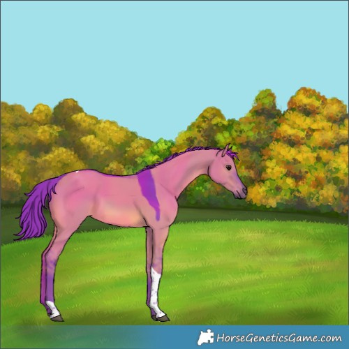 Horse Color:Watercolor Grullo Tobiano Rabicano 