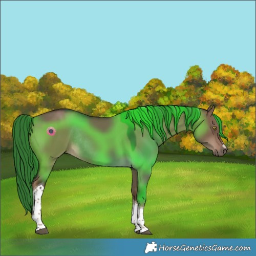 Horse Color:Liver Red Dun Tobiano Rabicano 