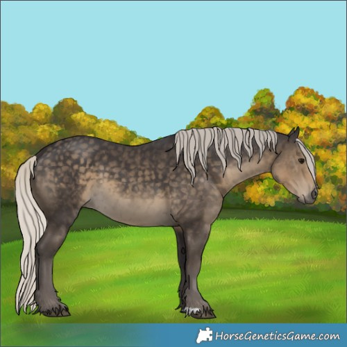 Horse Color:Silver Smoky Black 