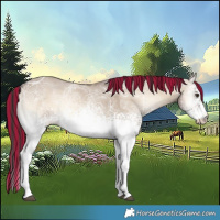 Horse Color:Painted White Spotted Liver Red Dun Ice Onyx 