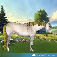 Horse Color:Painted White Spotted Liver Red Dun Ice Onyx 