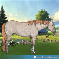 Horse Color:Painted Liver Red Dun Ice Sabino 