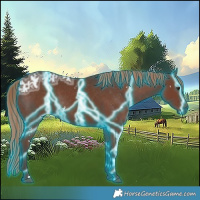 Horse Color:Thunderstruck White Spotted Liver Chestnut Ice 