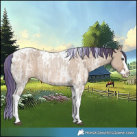 Horse Color:Painted Liver Red Dun Ice Splash Tobiano 