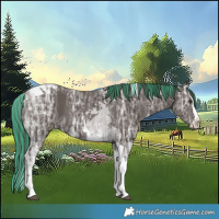 Horse Color:Painted Liver Chestnut Ice Splash Tobiano 